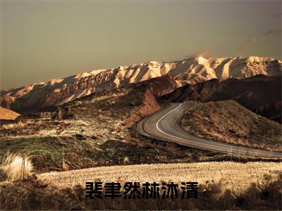 （林沐清裴聿然）全文免费阅读无弹窗大结局_（裴聿然林沐清全文免费）林沐清裴聿然小说最新章节列表_笔趣阁