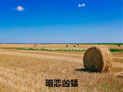 暗恋凶猛小说陆延费林林最新更新—陆延费林林小说美文赏析