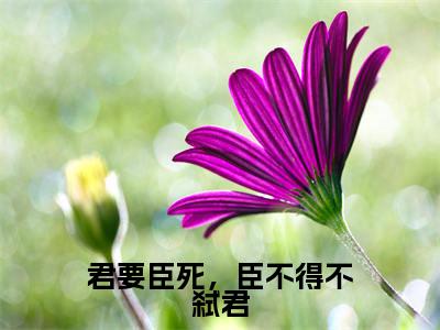 顾昔小说君要臣死，臣不得不弑君全章节阅读-主角为顾昔的小说叫什么君要臣死，臣不得不弑君