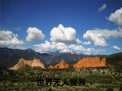 世界无人爱我（沈初禾蒋锦年全文在线阅读）-世界无人爱我（沈初禾蒋锦年）免费阅读无删减完整版