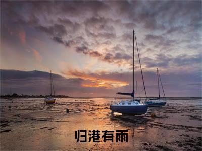沈津辞边月（归港有雨）全文阅读-最火热点小说沈津辞边月最新更新
