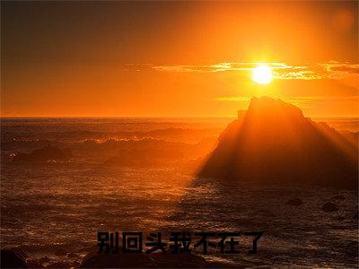 别回头我不在了乔希希无广告阅读新上热文乔希希在线免费读