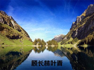 顾长林叶青免费小说（叶青顾长林）全本免费阅读-顾长林叶青最新章节列表