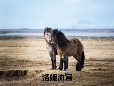 洛媛沐宸全文免费阅读无弹窗大结局_（洛媛沐宸完结）洛媛沐宸小说最新章节列表
