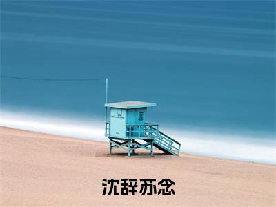 沈辞苏念（沈辞苏念）小说全文免费阅读_沈辞苏念最新章节小说免费阅读_笔趣阁沈辞苏念