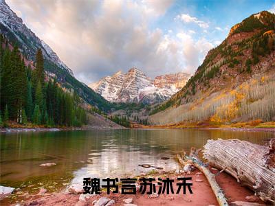 小说（魏书言苏沐禾）全文免费阅读_（魏书言苏沐禾）小说全文免费阅读