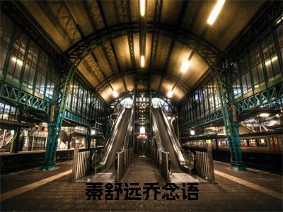 秦舒远乔念语（乔念语秦舒远）小说精彩免费内容_秦舒远乔念语乔念语秦舒远最新章节全文阅读