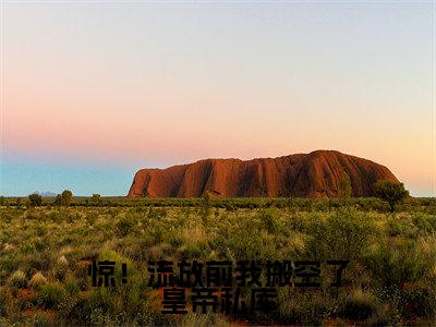 惊！流放前我搬空了皇帝私库小说（楚辞）全文免费阅读无弹窗大结局_（惊！流放前我搬空了皇帝私库）楚辞小说免费阅读最新章节列表