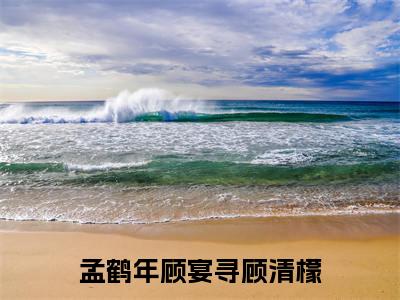 小说（孟鹤年顾宴寻顾清檬）免费阅读-小说（顾清檬孟鹤年顾宴寻）孟鹤年顾宴寻顾清檬全文在线赏析最新章节列表_笔趣阁