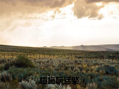 梅施阮廷坚（梅施阮廷坚）抖音热推小说全集无删减，梅施阮廷坚小说在线免费阅读大结局