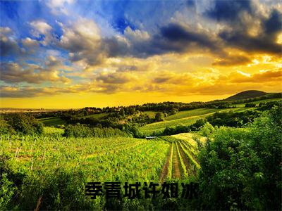 （季青城许如冰）许如冰季青城全文完整版-最新热门榜单小说季青城许如冰（许如冰季青城）