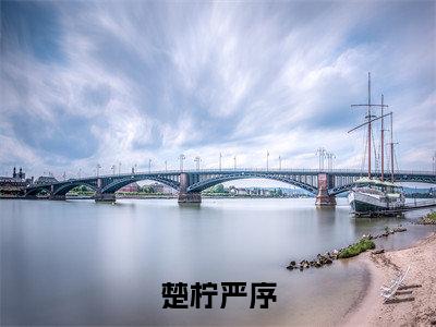 （楚柠严序）全文免费阅读无弹窗大结局-楚柠严序小说最新章节列表