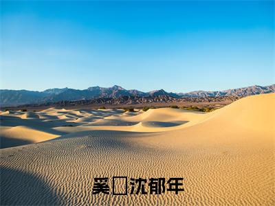 奚婂沈郁年（奚婂沈郁年）的小说完整版免费阅读主角是（奚婂沈郁年）奚婂沈郁年无弹窗免费阅读