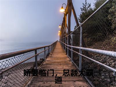 娇妻临门，总裁太霸道全文免费阅读无弹窗大结局-肖杰安若雨全文在线阅读最新章节列表_笔趣阁