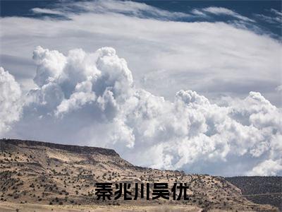 吴优秦兆川（秦兆川吴优）小说结局-吴优秦兆川全文无弹窗阅读