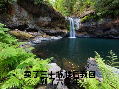 卖了三十栋楼后我回到了六零年（林紫）全文免费阅读无弹窗大结局_卖了三十栋楼后我回到了六零年最新章节列表_笔趣阁（免费+番外）