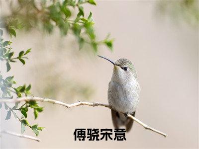 （傅骁宋意）小说全文免费阅读无弹窗大结局_宋意傅骁傅骁宋意最新章节列表笔趣阁