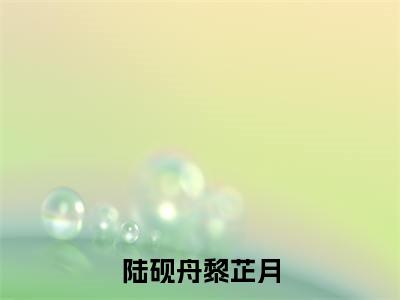 陆砚舟黎芷月（陆砚舟黎芷月）全文免费阅读_（陆砚舟黎芷月）最新章节列表笔趣阁（陆砚舟黎芷月）