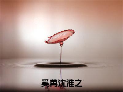 （热推新书）《奚苒沈淮之》全文免费阅读无弹窗大结局-奚苒沈淮之无弹窗阅读