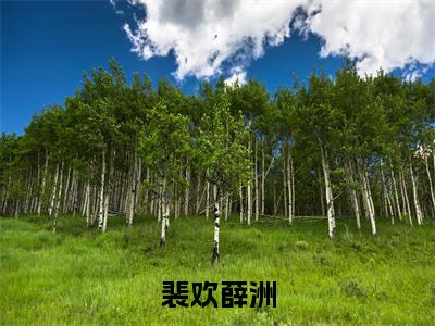 裴欢薛洲（裴欢薛洲免费小说）全文免费阅读无弹窗大结局_裴欢薛洲免费小说最新章节列表_笔趣阁