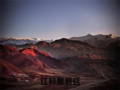 江知意裴延小说裴延江知意无弹窗免费阅读-最新小说江知意裴延（裴延江知意）全文阅读