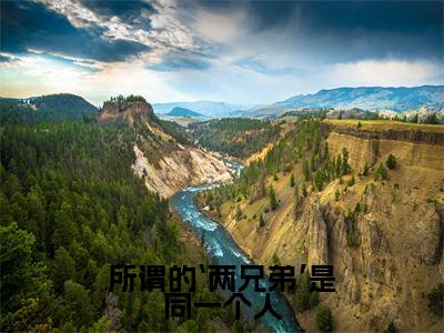温辞烟顾宣珩（所谓的‘两兄弟’是同一个人）全文免费阅读无弹窗大结局_温辞烟顾宣珩在线阅读（所谓的‘两兄弟’是同一个人）