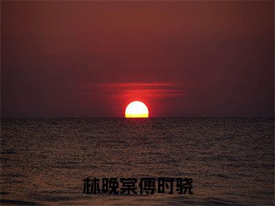 林晚棠傅时骁傅时骁林晚棠小说全文在线阅读无弹窗大结局_（傅时骁林晚棠全文在线阅读无弹窗）