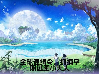 颜鹿时序小说全文免费阅读_（颜鹿时序）全球通缉令，抓捕孕期逃跑小夫人最新章节列表笔趣阁