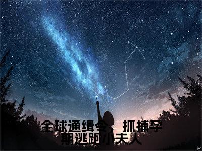全球通缉令，抓捕孕期逃跑小夫人全文小说（颜鹿时序）-完整版小说颜鹿时序（全球通缉令，抓捕孕期逃跑小夫人）热文免费阅读
