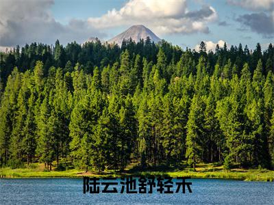 舒轻禾陆云池（陆云池舒轻禾）完整版小说阅读_陆云池舒轻禾舒轻禾陆云池全文免费阅读