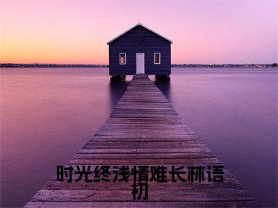 时光终浅情难长林语初小说全文免费阅读（霍辰锦林语初）免费阅读全文免费阅读无弹窗大结局