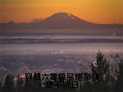 穿成六零极品炮灰我绝不洗白高赞小说（何瑞雪）完结阅读_穿成六零极品炮灰我绝不洗白全文完整版免费阅读最新章节列表