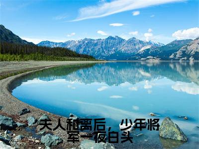 夫人和离后，少年将军一夜白头全文免费阅读无弹窗大结局_（沈意欢萧暮宸）夫人和离后，少年将军一夜白头小说免费阅读完整版全文大结局