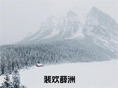 薛洲裴欢在哪免费看薛洲裴欢结局是什么（裴欢薛洲）小说无弹窗免费阅读