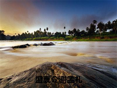 盛夏令谢孟礼小说全文免费阅读无弹窗大结局_（盛夏令谢孟礼）盛夏令谢孟礼最新章节列表笔趣阁