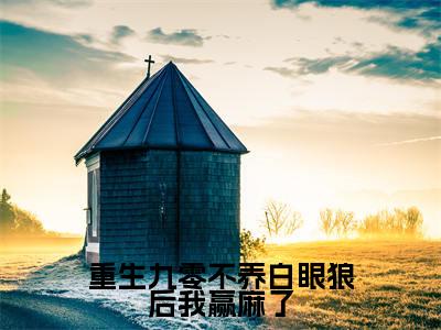 重生九零不养白眼狼后我赢麻了（刘姿李沐小说）全文免费阅读无弹窗大结局_刘姿李沐完整版小说阅读