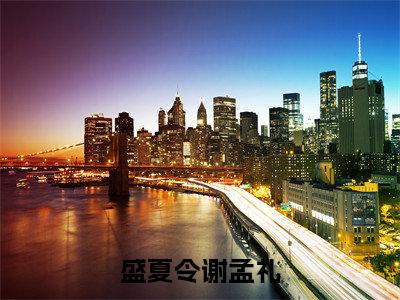 盛夏令谢孟礼（盛夏令谢孟礼）全文免费阅读无弹窗大结局_盛夏令谢孟礼最新章节列表-笔趣阁盛夏令谢孟礼