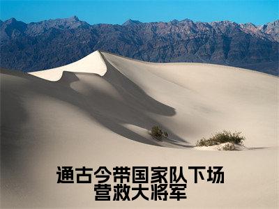 战风渊白暴雨（通古今带国家队下场营救大将军）全文免费阅读无弹窗大结局_通古今带国家队下场营救大将军（战风渊白暴雨无弹窗）_笔趣阁