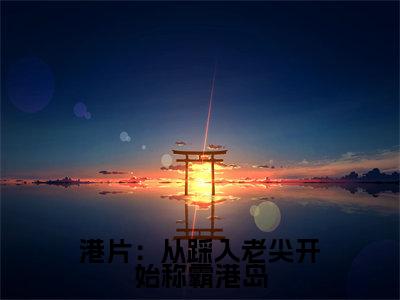 港片：从踩入老尖开始称霸港岛小说全文免费阅读无弹窗大结局_（苏文圳免费阅读无弹窗）最新章节列表_笔趣阁
