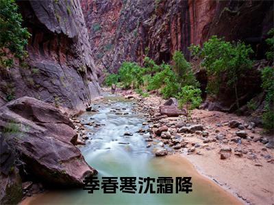 沈霜降季春寒在线阅读（季春寒沈霜降小说）全文免费阅读无弹窗大结局_季春寒沈霜降免费最新章节列表