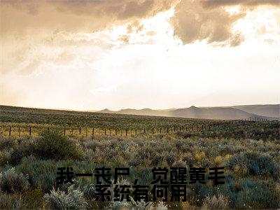 我一丧尸，觉醒黄毛系统有何用抖音最新热点小说，张辰顾欣妍小说最新章节阅读