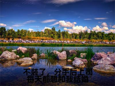 不装了，分手后上司每天都想和我结婚（凃婳沈斯言）热门免费小说-凃婳沈斯言（不装了，分手后上司每天都想和我结婚）精彩小说全文赏析