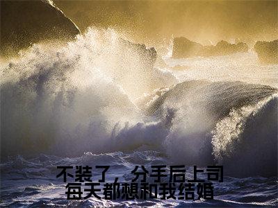 凃婳沈斯言不装了，分手后上司每天都想和我结婚全文免费阅读_（凃婳沈斯言免费阅读无弹窗）不装了，分手后上司每天都想和我结婚最新章节列表笔趣阁