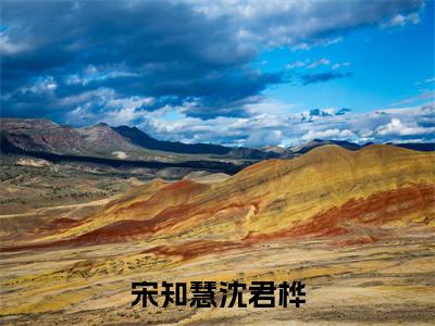 宋知慧沈君桦（宋知慧沈君桦）全文阅读无弹窗大结局_宋知慧沈君桦免费阅读无弹窗最新章节列表