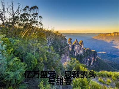 亿万盛宠，总裁的头号甜妻全文小说骆韶炜冉明珠免费在线分享-新书热荐免费小说骆韶炜冉明珠
