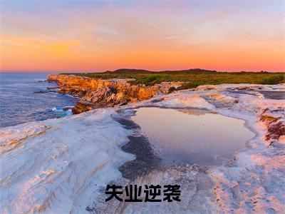 李皓小说（失业逆袭）全文免费阅读_（失业逆袭）李皓小说最新章节列表