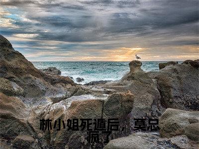 林小姐死遁后，莫总疯了（林诗雨莫修霆）全文免费阅读无弹窗大结局-林小姐死遁后，莫总疯了免费阅读全文大结局-笔趣阁