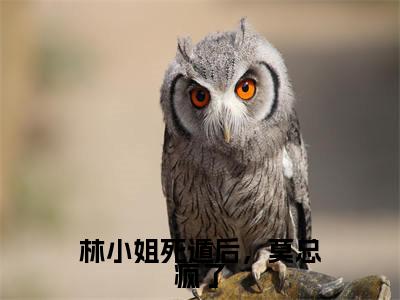 小说（林小姐死遁后，莫总疯了）莫修霆林诗雨全文阅读-精彩美文林小姐死遁后，莫总疯了免费阅读