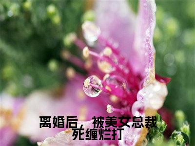 张扬离婚后，被美女总裁死缠烂打小说在哪里可以看离婚后，被美女总裁死缠烂打免费在线阅读