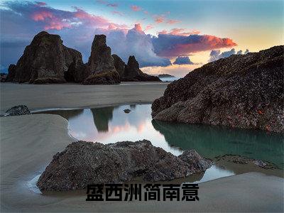 盛西洲简南意（盛西洲简南意）全文免费阅读_（盛西洲简南意）盛西洲简南意最新章节小说免费阅读_笔趣阁